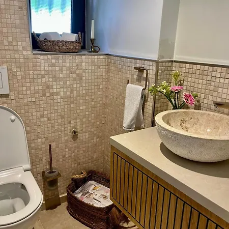 Luxurious With Pool Villa Weil am Rhein