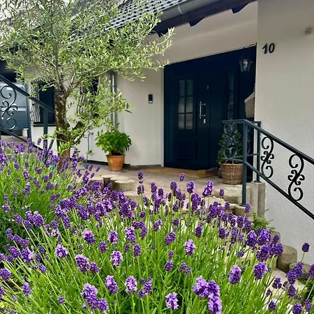 Villa Luxurious With Pool Weil am Rhein